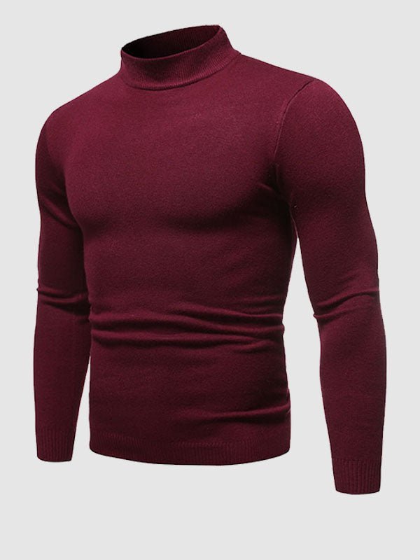 Alexander | Slim Fit Turtleneck Sweater for Men